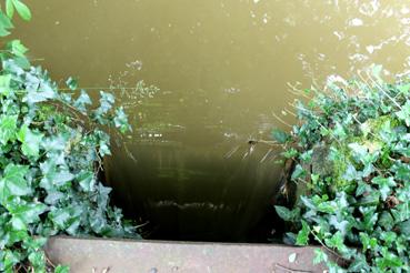 Iconographie - La prise d'eau du Moulin Millet au ruisseau de Baintruye (rivière la Mère)