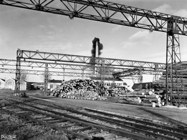 Iconographie - Empilement des grumes dans le chantier à bois	