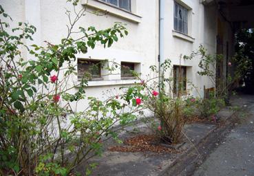 Iconographie - Buisson de fleurs à la manufacture d'allumettes