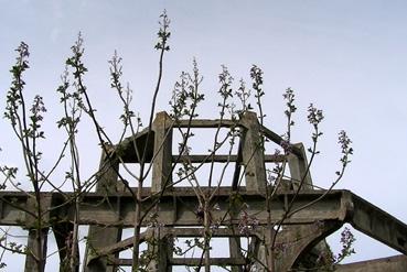 Iconographie - Vestiges du château d'eau de la manufacture d'allumettes