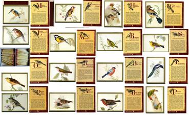 Iconographie - Présentation de boites d'allumettes, série "oiseaux"