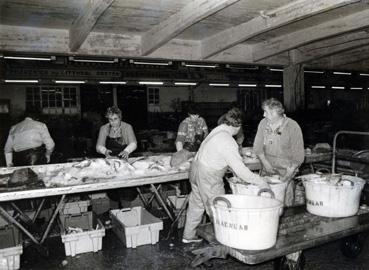 Iconographie - Femmes au triage du poisson à la criée