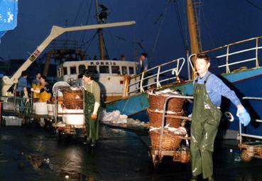 Iconographie - Le triage du poisson sur le quai la nuit