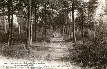 Iconographie - Bois de la Grange - Le repas des faisans