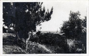 Iconographie - Un joli coin - Vue prise de la colline de Beaumont