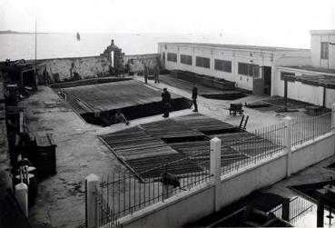 Iconographie - Le vivier - Planches sur les viviers du Marinarium pour éviter la chaleur