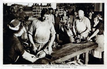 Iconographie - Intérieur de l'usine Provost-Barbe - Travail du thon - Le découpage