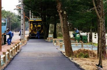 Iconographie - Pistes cyclables - Avenue des Demoiselles