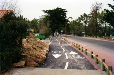 Iconographie - Pistes cyclables - Avenue des Demoiselles