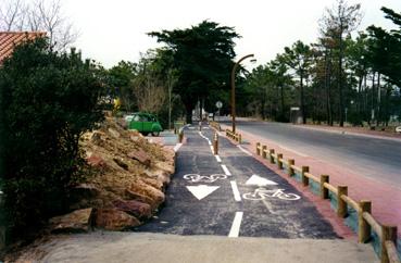 Iconographie - Pistes cyclables - Avenue des Demoiselles