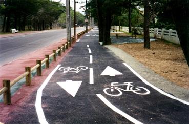 Iconographie - Pistes cyclables - Avenue des Demoiselles