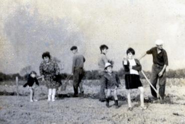 Iconographie - Plantation d'une vigne chez Georges Roy, la Noue Morin