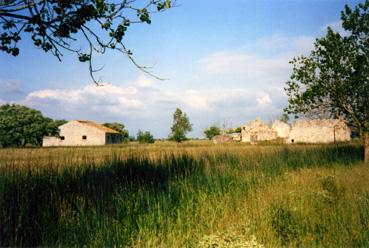 Iconographie - Ruines de La Joue - L'écurie et l'une des granges