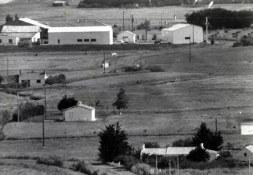 Iconographie - Commerce de grenouilles S.A. Artus - Vue sur l'entreprise