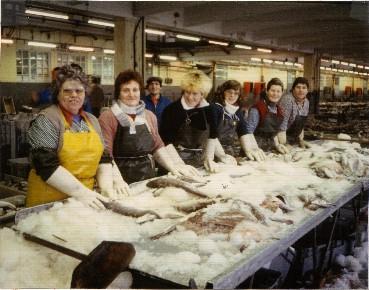 Iconographie - tri du poisson femmes dockers en couleurs