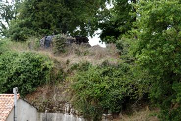 Iconographie - Ruines des remparts du château de Mallièvre du XIe siècle