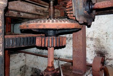 Iconographie - Roue dentée en bois de l'ancienne minoterie sur la Sèvre Nantaise