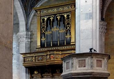 Iconographie - Lucca - Cathédrale San Martino, les grandes orgues