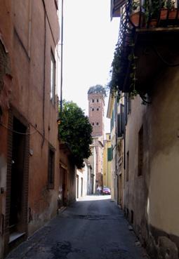 Iconographie - Lucca - Vue sur la tour du palais Guinigi 