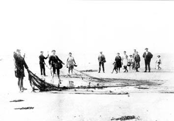 Iconographie - La pêche à la senne sur la plage