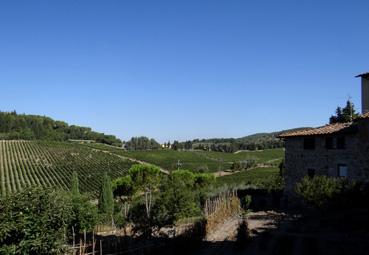 Iconographie - Badia a Passignano - Vue sur les vignes de Chianti