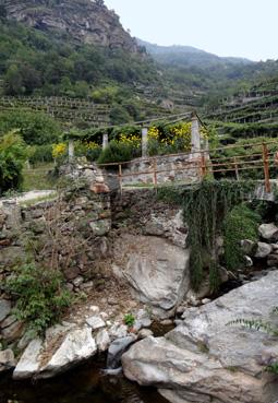 Iconographie - Cesnola - Passerelle vers les vignes cultivées sur pergola