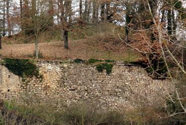 Iconographie - Les remparts du château vus du pont sur la Sèvre