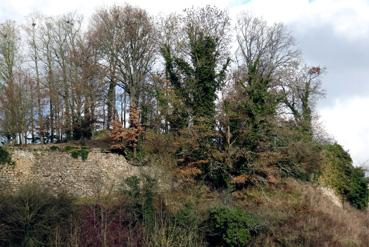 Iconographie - Les remparts du château vus du pont sur la Sèvre