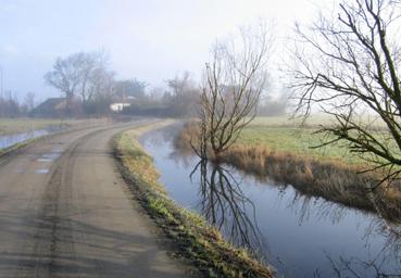 Iconographie - Route du marais au matin