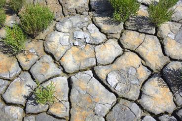 Iconographie - Marais salants de Bouin