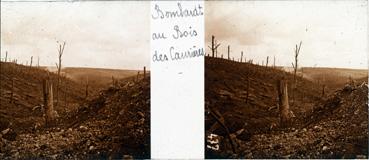 Iconographie - Bombardement au bois des Caurières