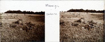 Iconographie - Marne 1914 - Cadavre