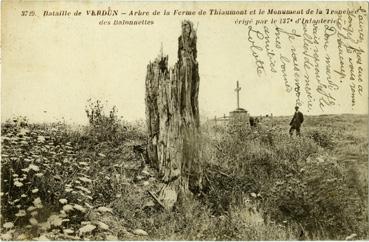 Iconographie - Bataille de Verdun - Arbre de la ferme de Thiaumont et le monument de la tranchée des baïonnettes