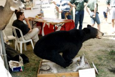 Iconographie - Exposition d'animaux naturalisés au Gam-Fair