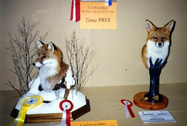 Iconographie - Travaux nominés au Concours Européen de Taxidermie