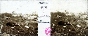 Iconographie - Marne 1914 - Cadavres allemands