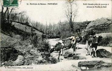 Iconographie - Petit chemin du passage à niveau du moulin du Boël