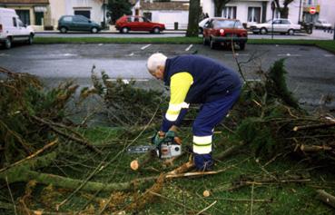 Iconographie - Après la tempête, le personnel communal assure la coupe d'arbres