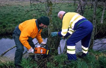 Iconographie - Après la tempête, le personnel communal assure la coupe d'arbres