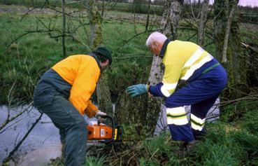 Iconographie - Après la tempête, le personnel communal assure la coupe d'arbres