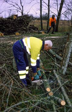 Iconographie - Après la tempête, le personnel communal assure la coupe d'arbres
