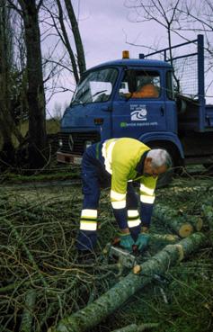 Iconographie - Après la tempête, le personnel communal assure la coupe d'arbres