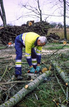 Iconographie - Après la tempête, le personnel communal assure la coupe d'arbres
