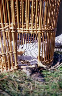 Iconographie - Centre aéré - Oiseau blessé soigné