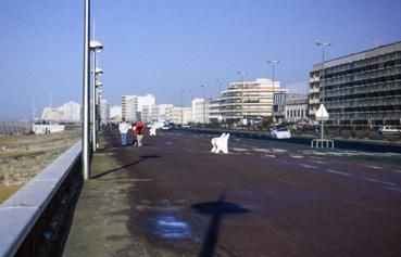 Iconographie - Le front de mer - La promenade près du palais des congrès Odysséa