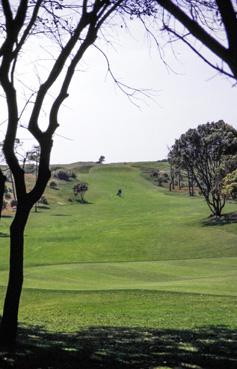 Iconographie - Le terrain de golf