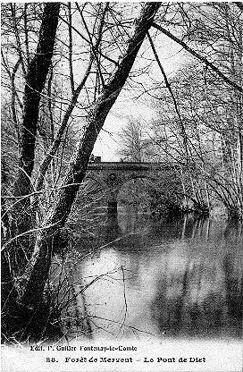 Iconographie - La Forêt de Mervent - le pont de Diet