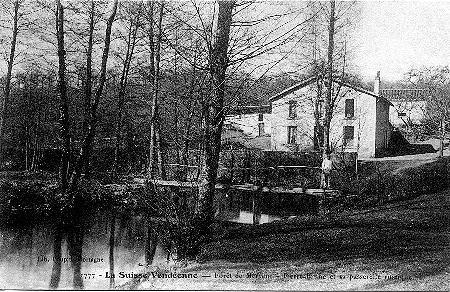 Iconographie - La Forêt de Mervent - Pierre-Brune