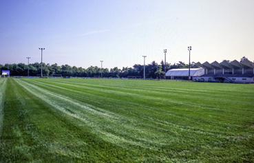 Iconographie - Le stade de football de la Forêt