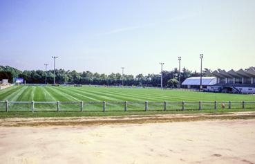 Iconographie - Le stade de football de la Forêt